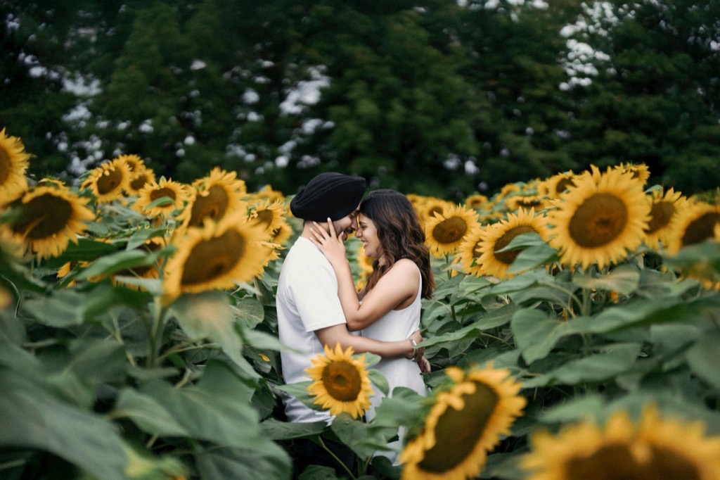 Couple in a sunflower field.